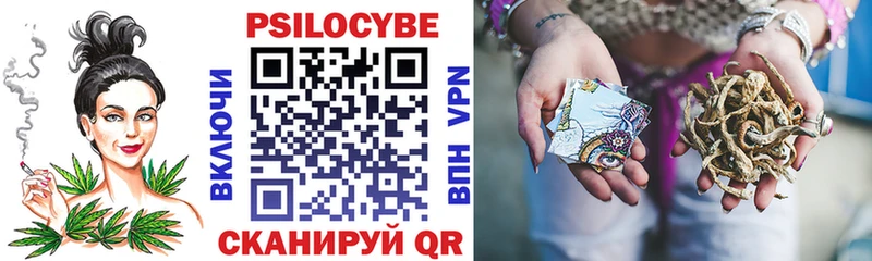 Галлюциногенные грибы мицелий  площадка состав  Томмот 